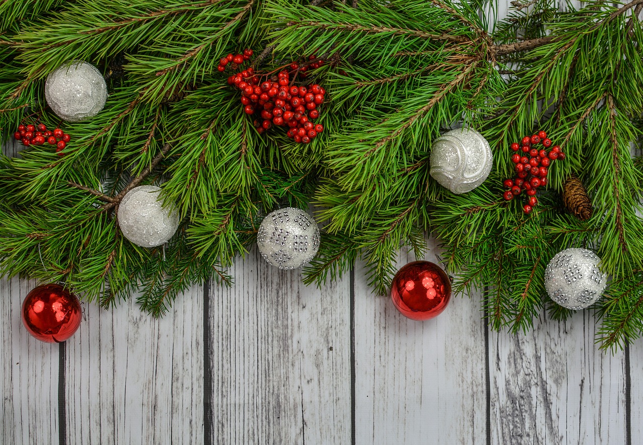 Merry Christmas and a Happy New Year!